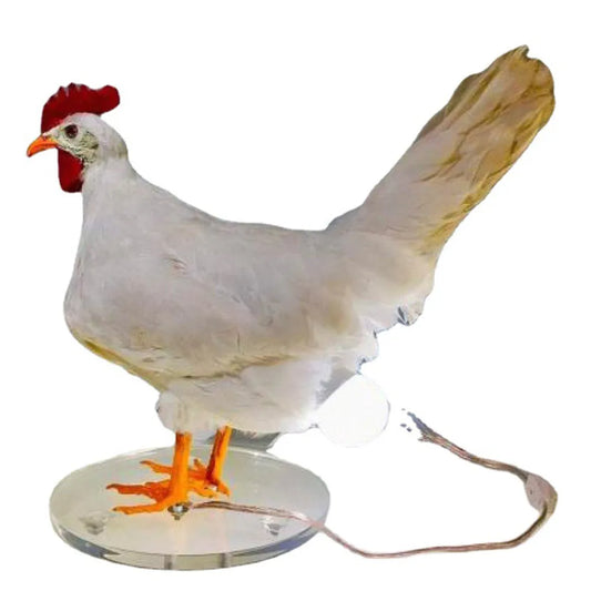 Party Carnival Chicken Lamp Chick Night Light Ornaments - The Trend